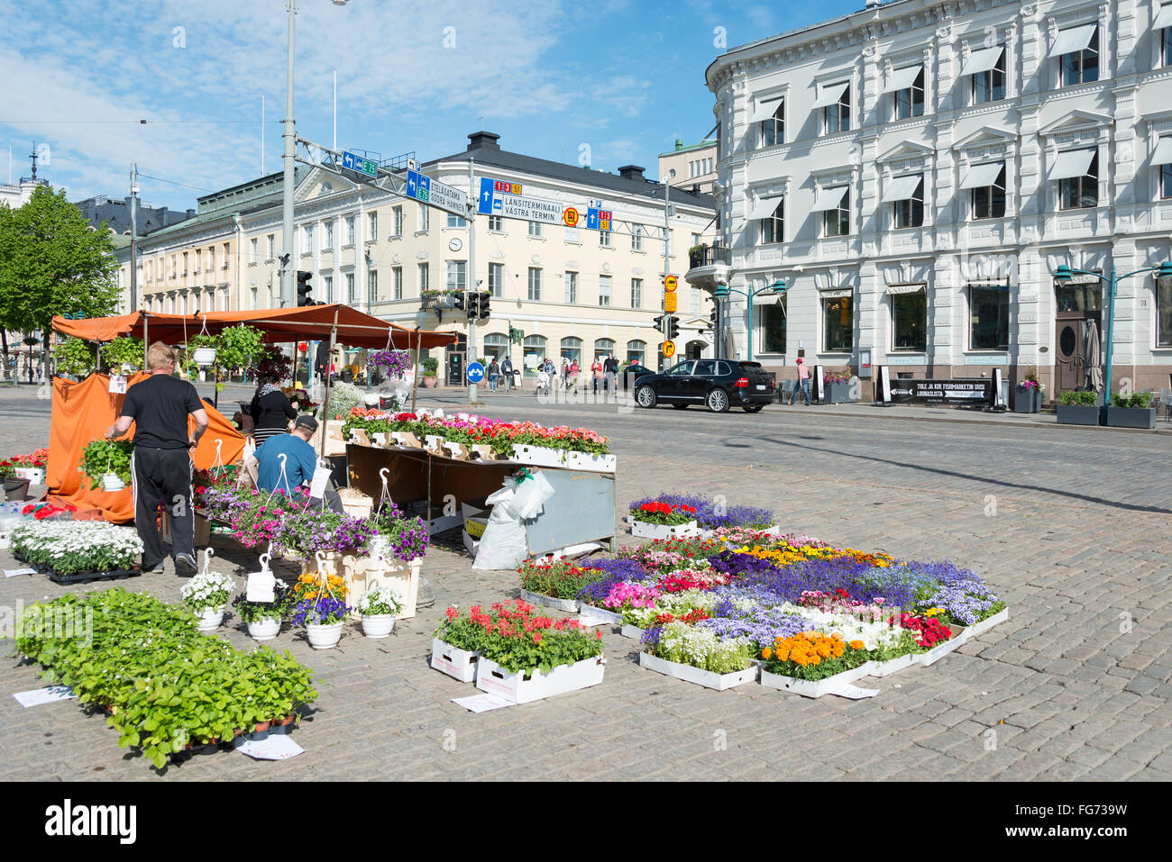 Blume-Stall, Uusimaa Region, Marktplatz Kauppatori, Helsinki, Finnland Stockfoto