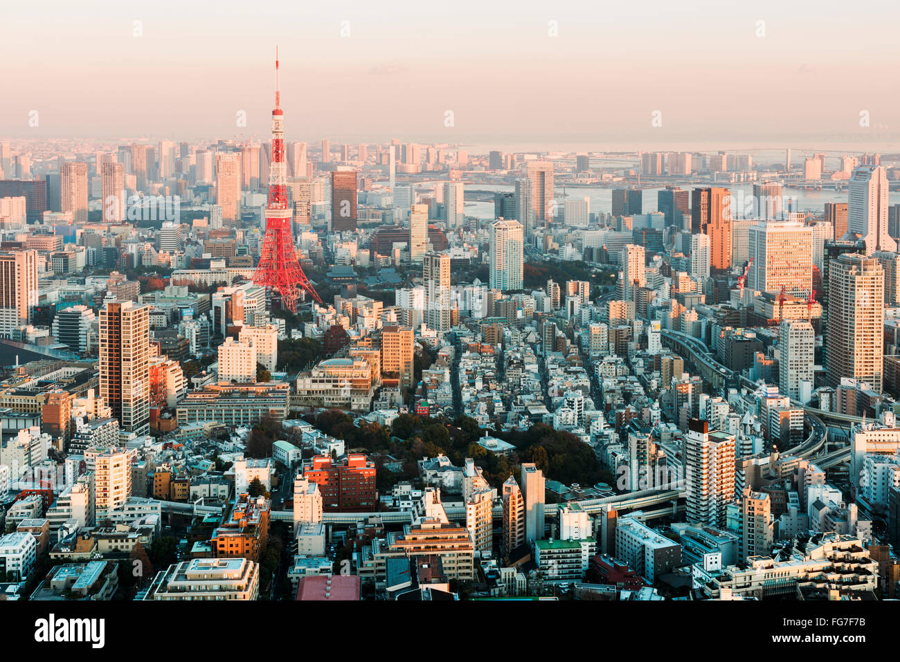 Tokyo, Japan - 14. Januar 2016: Tokyo Skyline bei Sonnenuntergang. Stockfoto