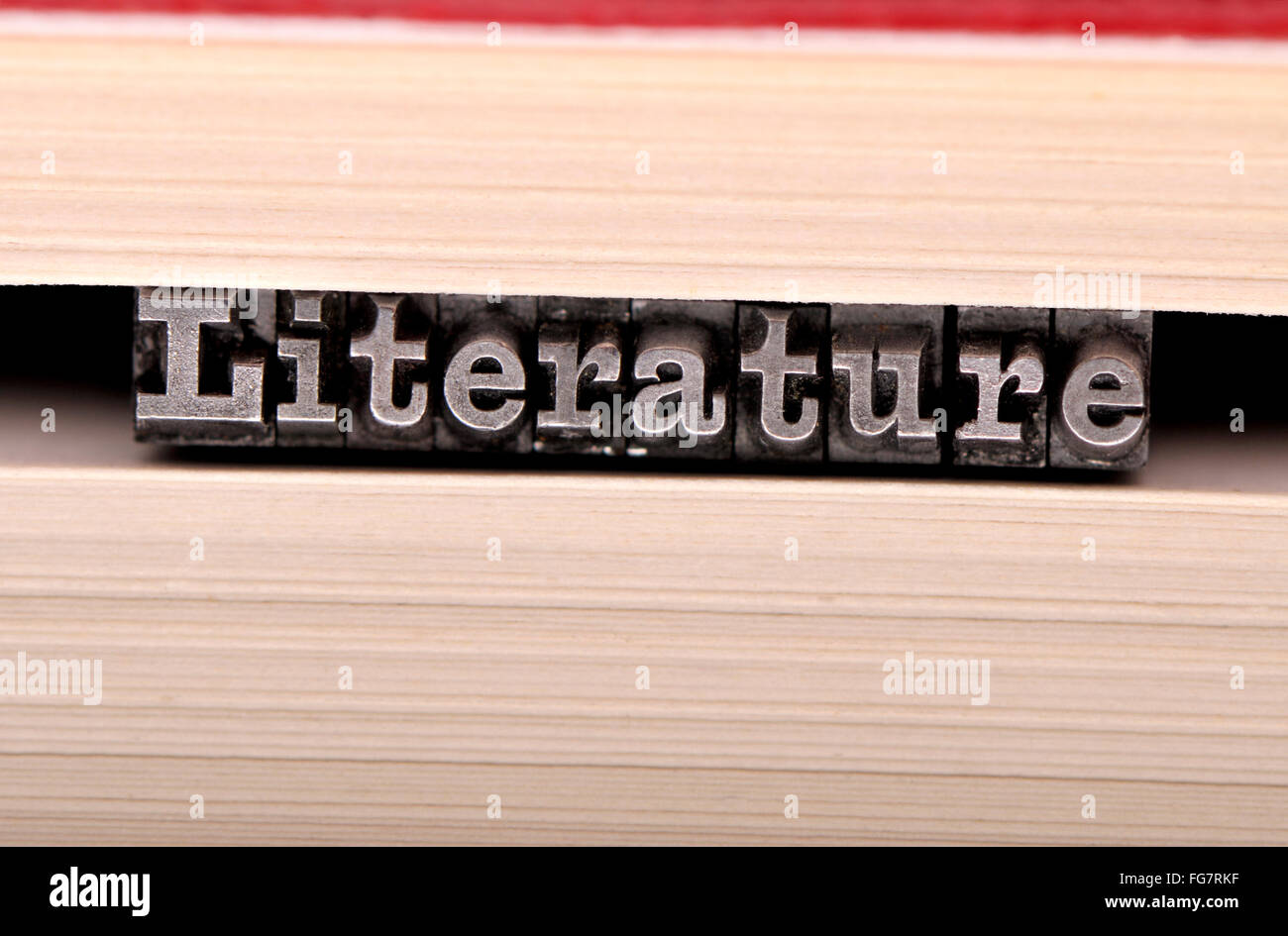 Buchdruck Zeichen Rechtschreibung aus "Literatur" auf den Seiten eines Buches Stockfoto