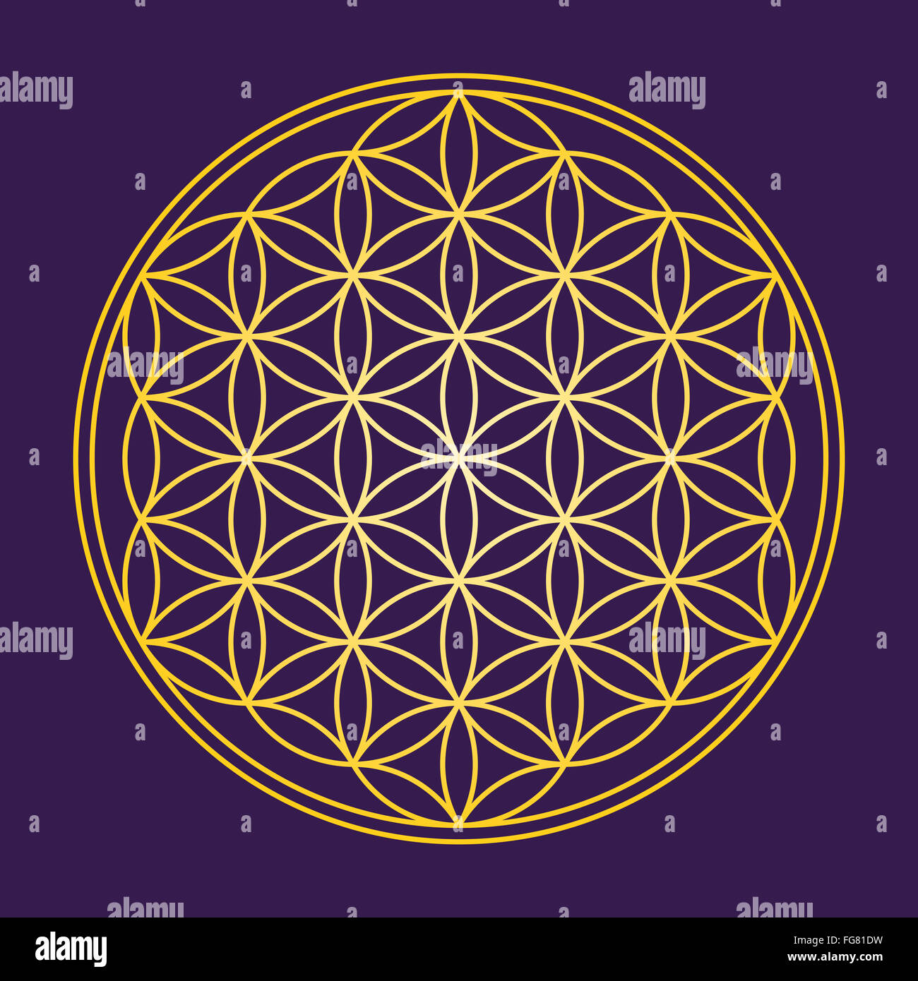 Blume des Lebens - Gold auf dunklem lila Hintergrund - eine geometrische Figur, bestehend aus mehreren gleichmäßig verteilt, überlappende Kreise. Stockfoto