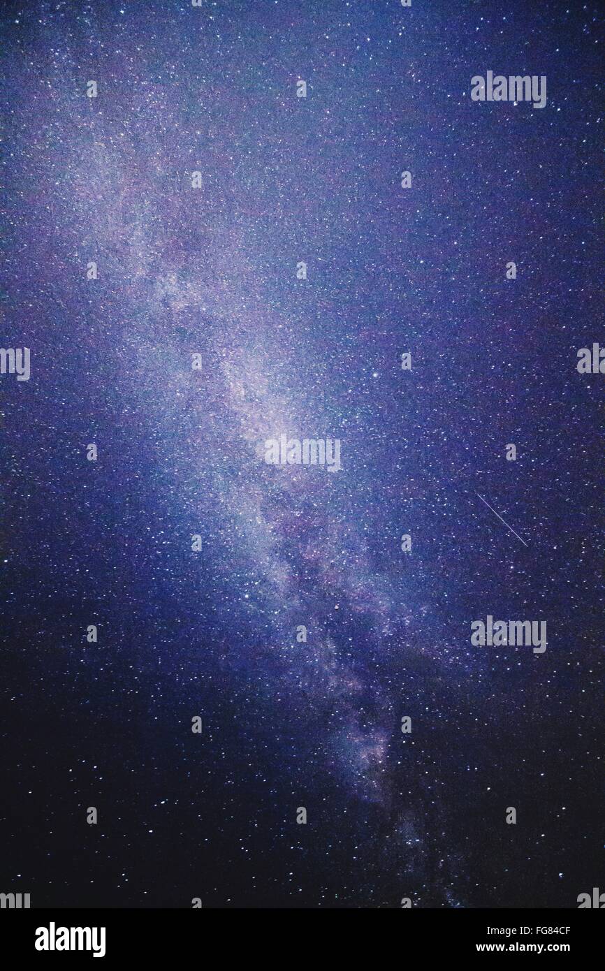 Niedrigen Winkel Blick auf Sternenhimmel in der Nacht Stockfoto
