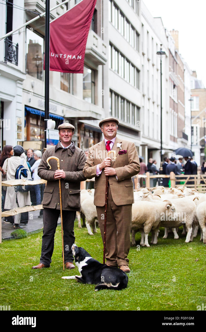 London, UK Hirten 5. Oktober 2015 bei der Kampagne für Wolle Woche 2015 mit Schafen auf Savile Row im Zentrum von London. Stockfoto