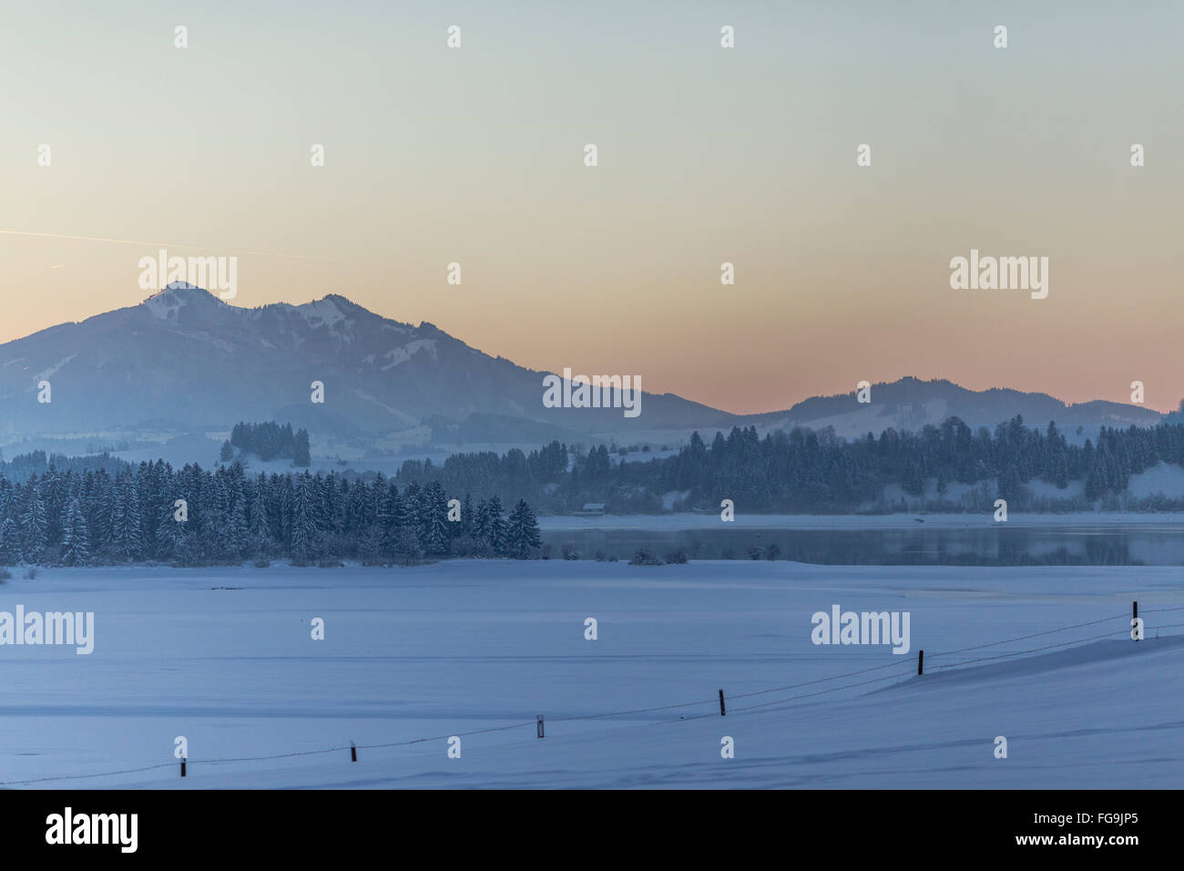 Geographie/Reisen, Deutschland, Bayern, Schwangau, Allgäu, Blick von der Vogelberg (Peak) in Richtung See (Forggen Forggensee), Additional-Rights - Clearance-Info - Not-Available Stockfoto