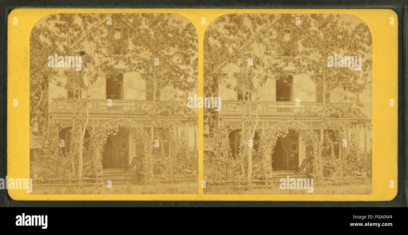 Ein historisches Foto von Vine Cottage auf der Circuit Avenue in Oak Bluffs, Massachusetts, aufgenommen von S.F. Adams. Das Bild spiegelt die Architektur und den Charme der Gegend in der Mitte des 19. Jahrhunderts wider. Stockfoto