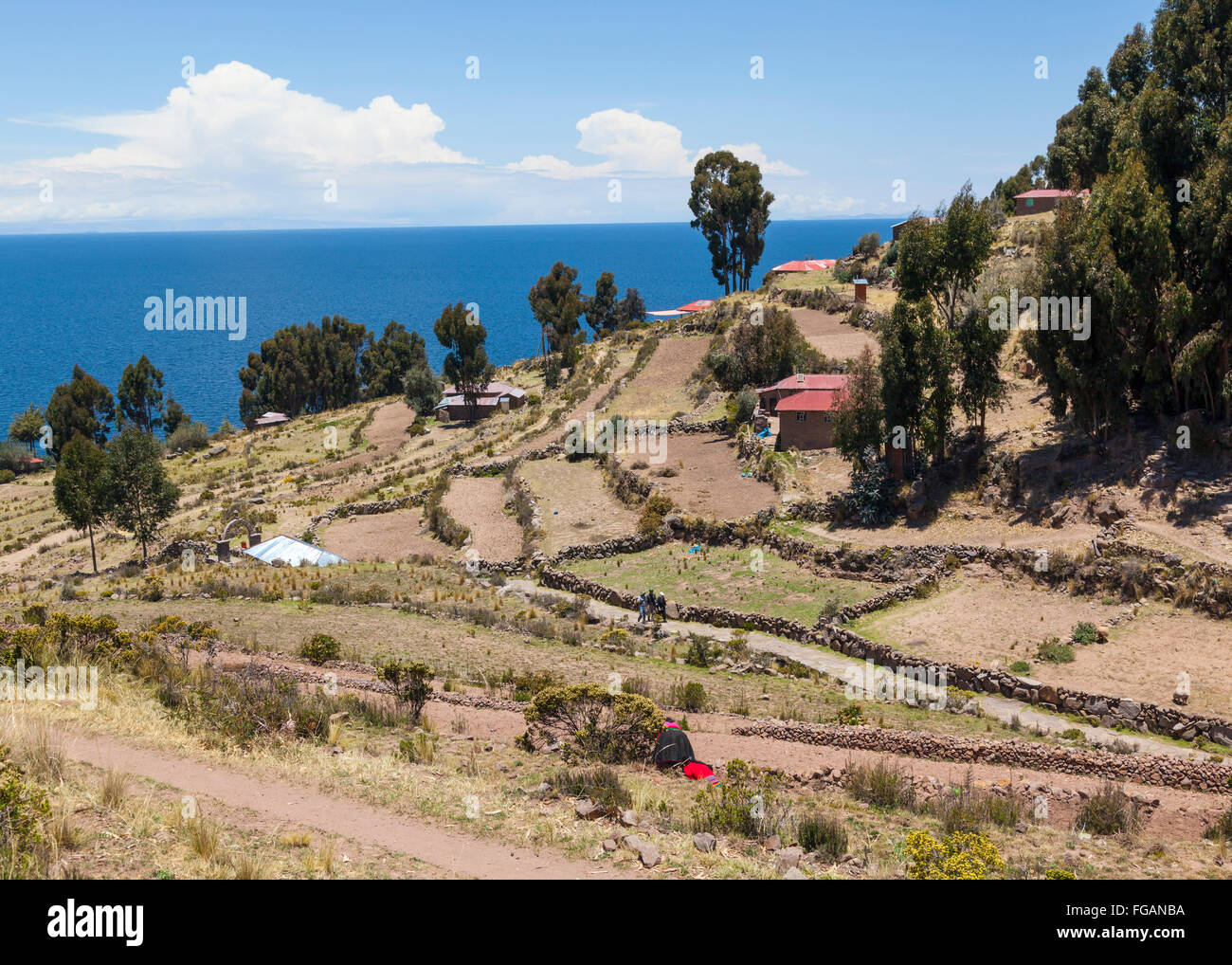Tarquile Landschaft, Titicacasee, Peru Stockfoto