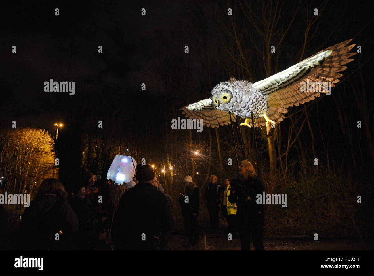 Liverpool, Vereinigtes Königreich. 18. Februar 2016. Die große weiße Eule auf Luminous Landscapes - ein Festival der Licht und Umwelt Nacht Familienfest am Festival Gärten in Liverpool, England, UK.  Bildnachweis: David J Colbran / Alamy Live News Stockfoto