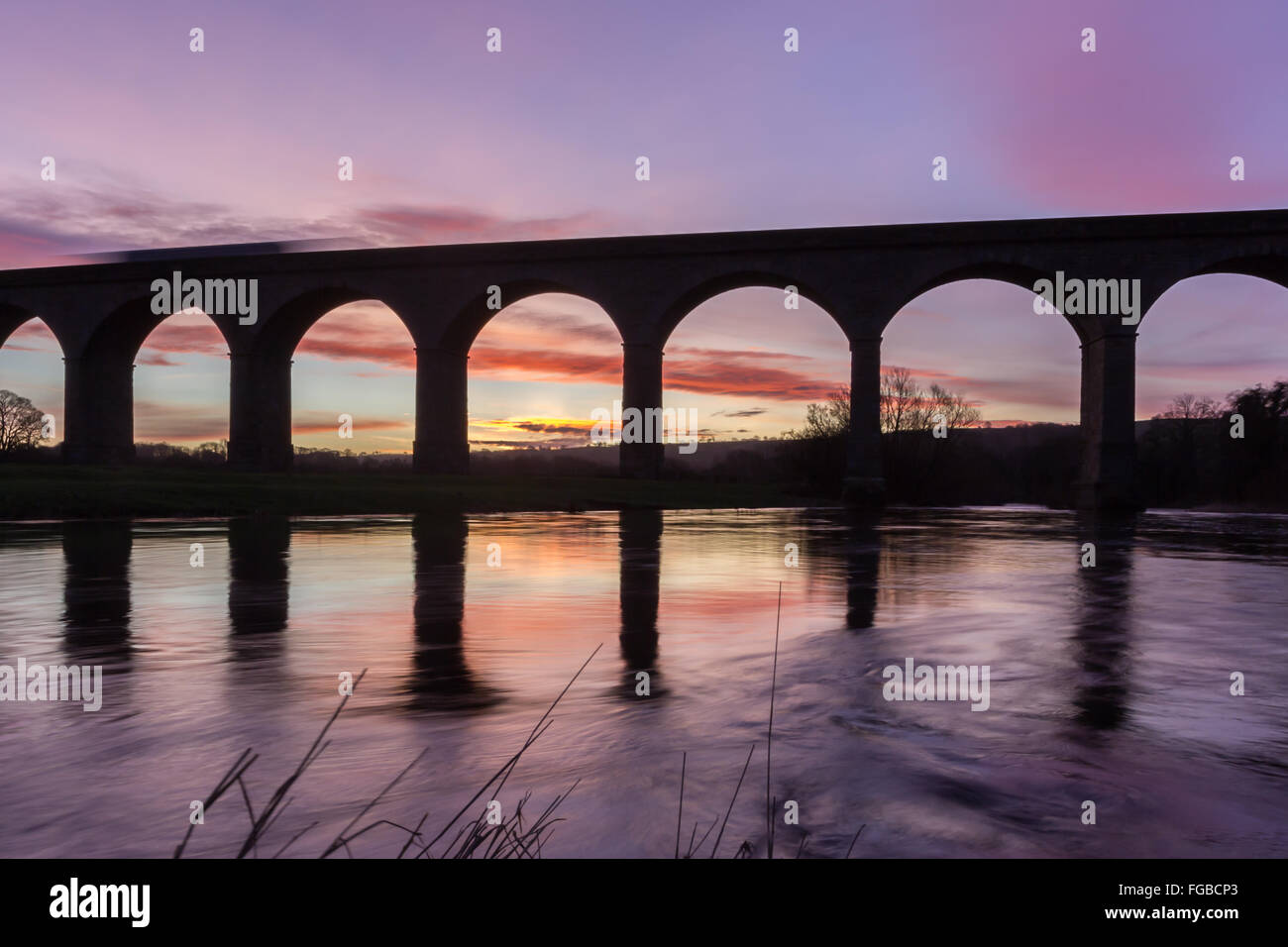 Arthington Viadukt, North Yorkshire Stockfoto