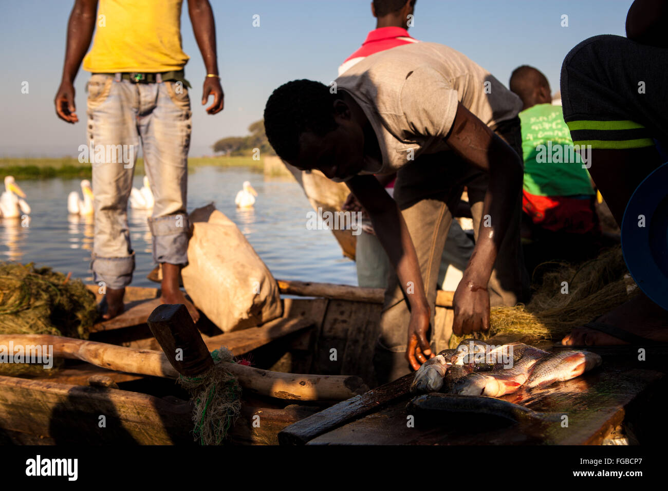 Fischer bereiten ihren frisch gefangenen Fisch, während Pelikane für Schrott Sie ein Auge halten. See-Hawassa Äthiopien Afrika Stockfoto