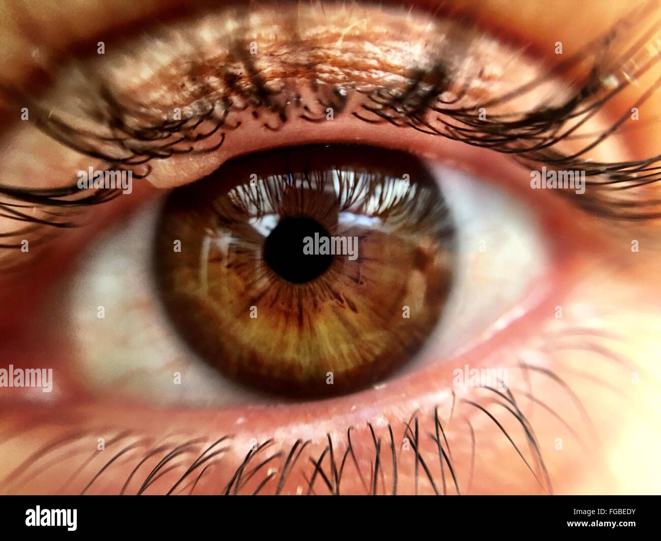 Braune Augen Nahaufnahme Stockfotos und bilder Kaufen Alamy