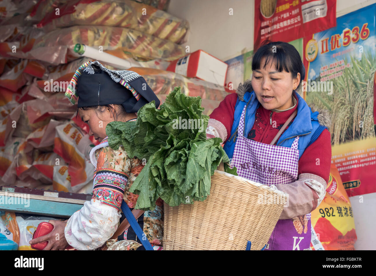 Laden den Warenkorb, Niujiaozhai Markt, Provinz Yunnan, China Stockfoto
