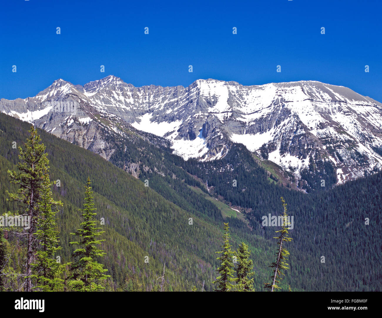 Schwan-Gipfel in der Schwan Palette von Flathead National Forest in der Nähe von Condon, montana Stockfoto