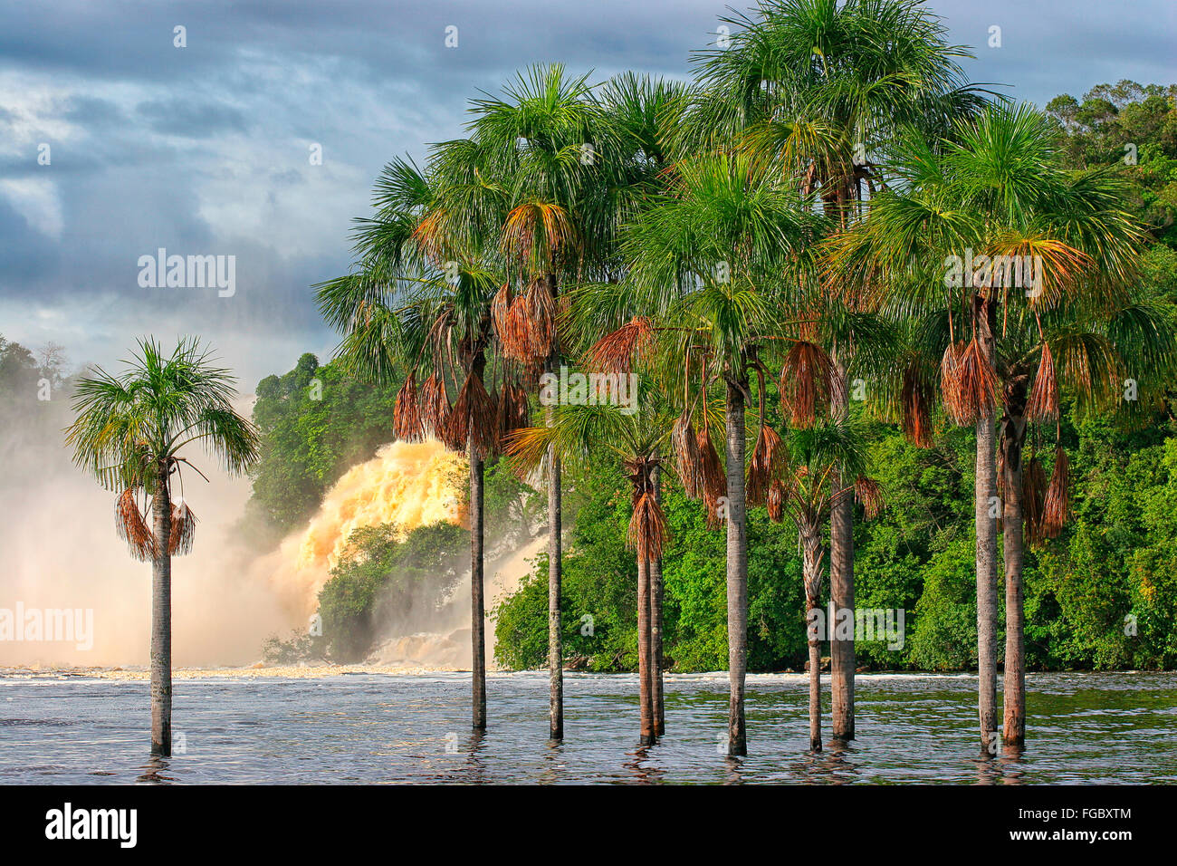 e der schönsten Orte ist Venezuela Canaima Lago und seine Surroundgs. Das Lago ist durch mehrere kleine Wer Stürze gefüttert: Stockfoto