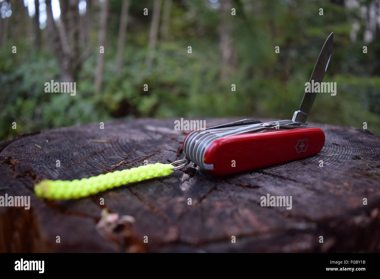 Swiss Army Knife auf Baumstumpf Stockfoto