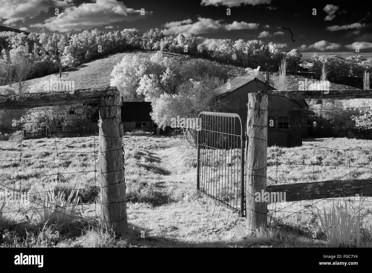 Ab-Hof in der Nähe von Tilba Tilba NSW Australia Stockfoto