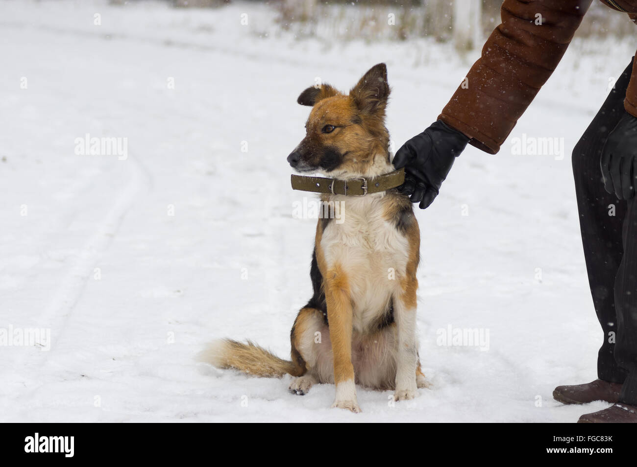 Mann ist bereit, Hund in einer verschneiten Winter Straße ablassen Stockfoto