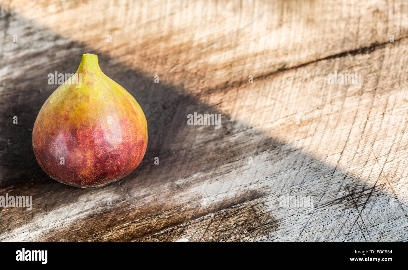 Halten Sie Feigen vor Sonneneinstrahlung schützen Stockfoto