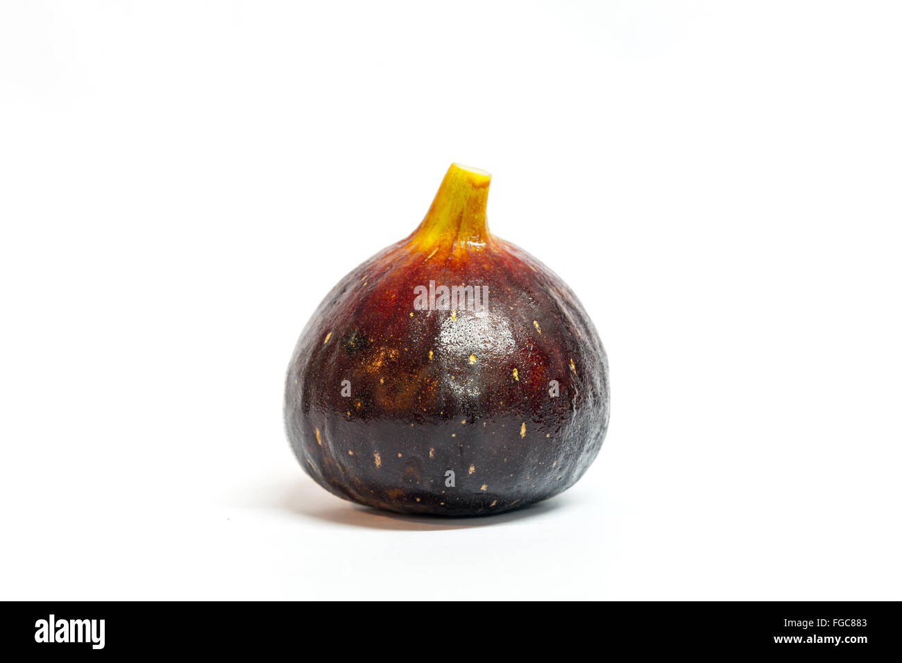Abb.--schwarze Genua gen, Ficus Obst Stockfoto