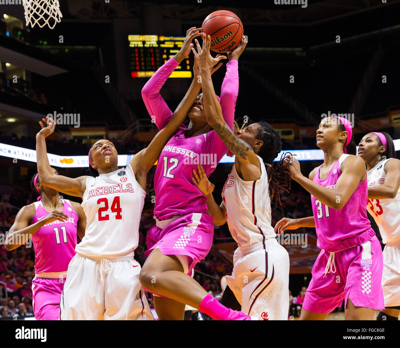 18. Februar 2016: Bashaara Gräber #12 der Tennessee Lady Freiwilligen Schlachten A'Queen Hayes #3 und Bretta Hart #24 von den Mississippi Rebels für die Erholung bei den NCAA-Basketball-Spiel zwischen der University of Tennessee Lady Freiwilligen und die University of Mississippi-Rebellen in der Thompson-Boling-Arena in Knoxville TN Tim Gangloff/CSM Stockfoto