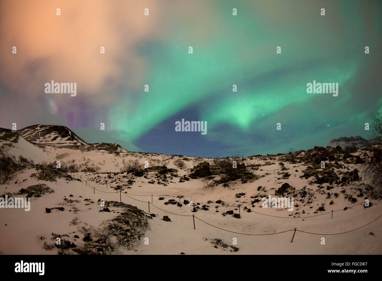 Nordlichter im Winter, Borgarnes, Snaefellsnes Halbinsel, Island Stockfoto
