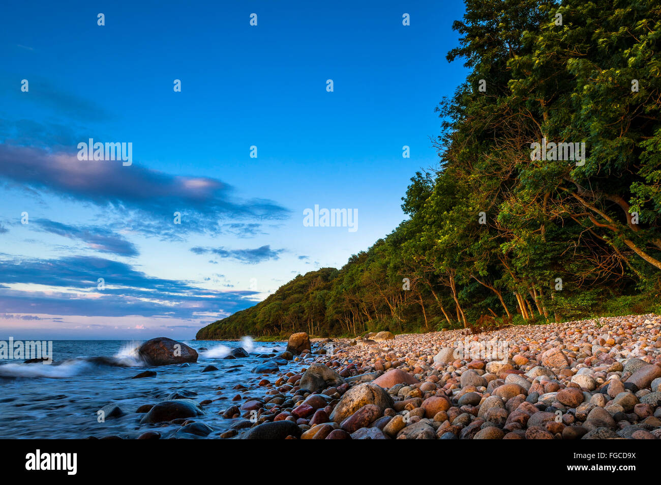 Steiniger Strand mit Küstenwald, Ostsee, Nationalpark Jasmund, Halbinsel Jasmund, Insel Rügen, Mecklenburg-Vorpommern Stockfoto