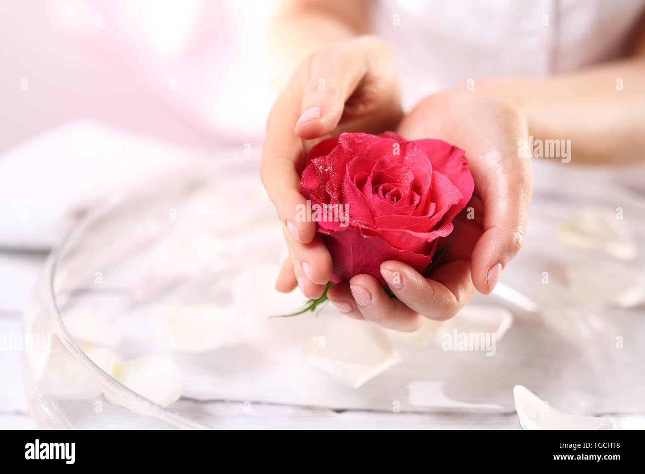 Schön und zart, weibliche Hände mit Blume rote Rose. Beauty-Salon, Maniküre Rose. Rituelle Rose, Salon Wellness & spa Stockfoto