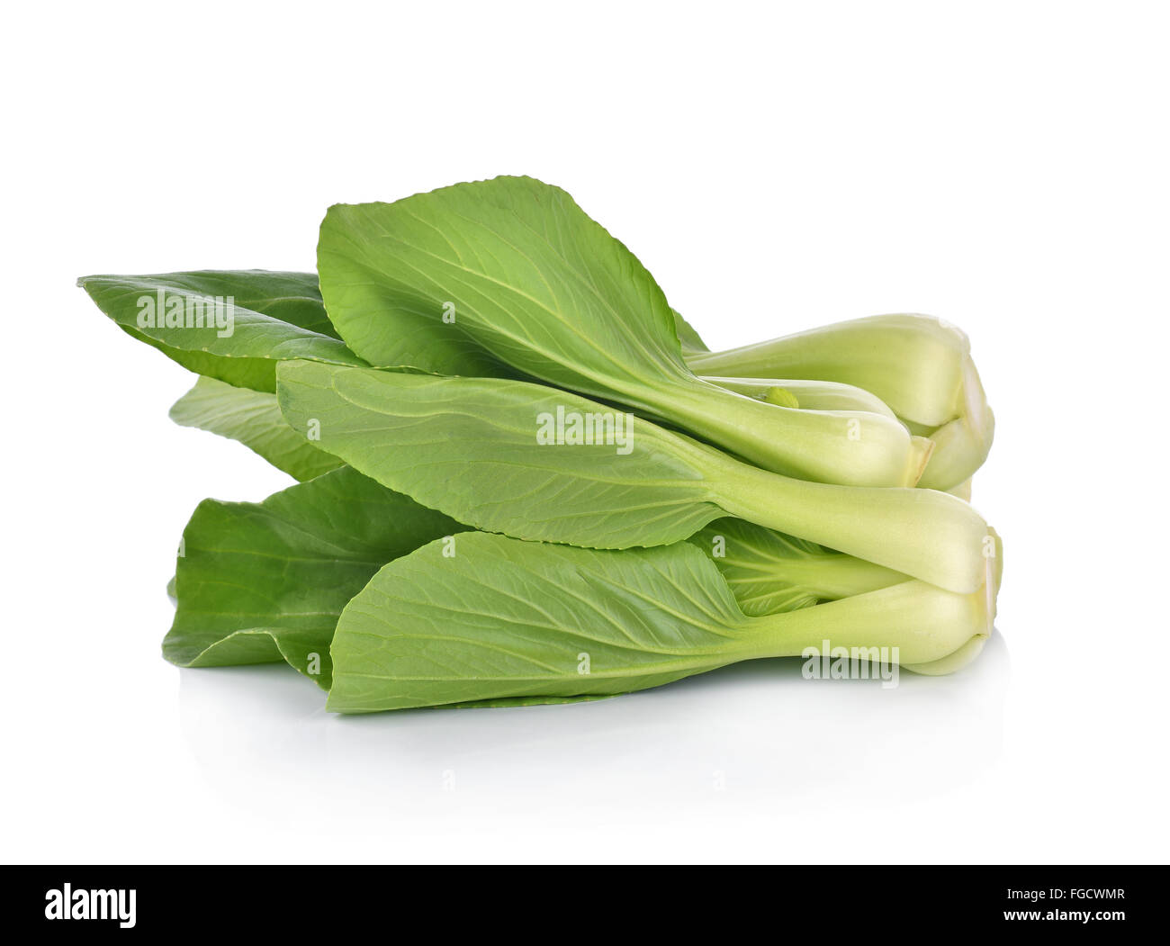 Bok Choy (Chinakohl) isoliert auf weiss Stockfoto