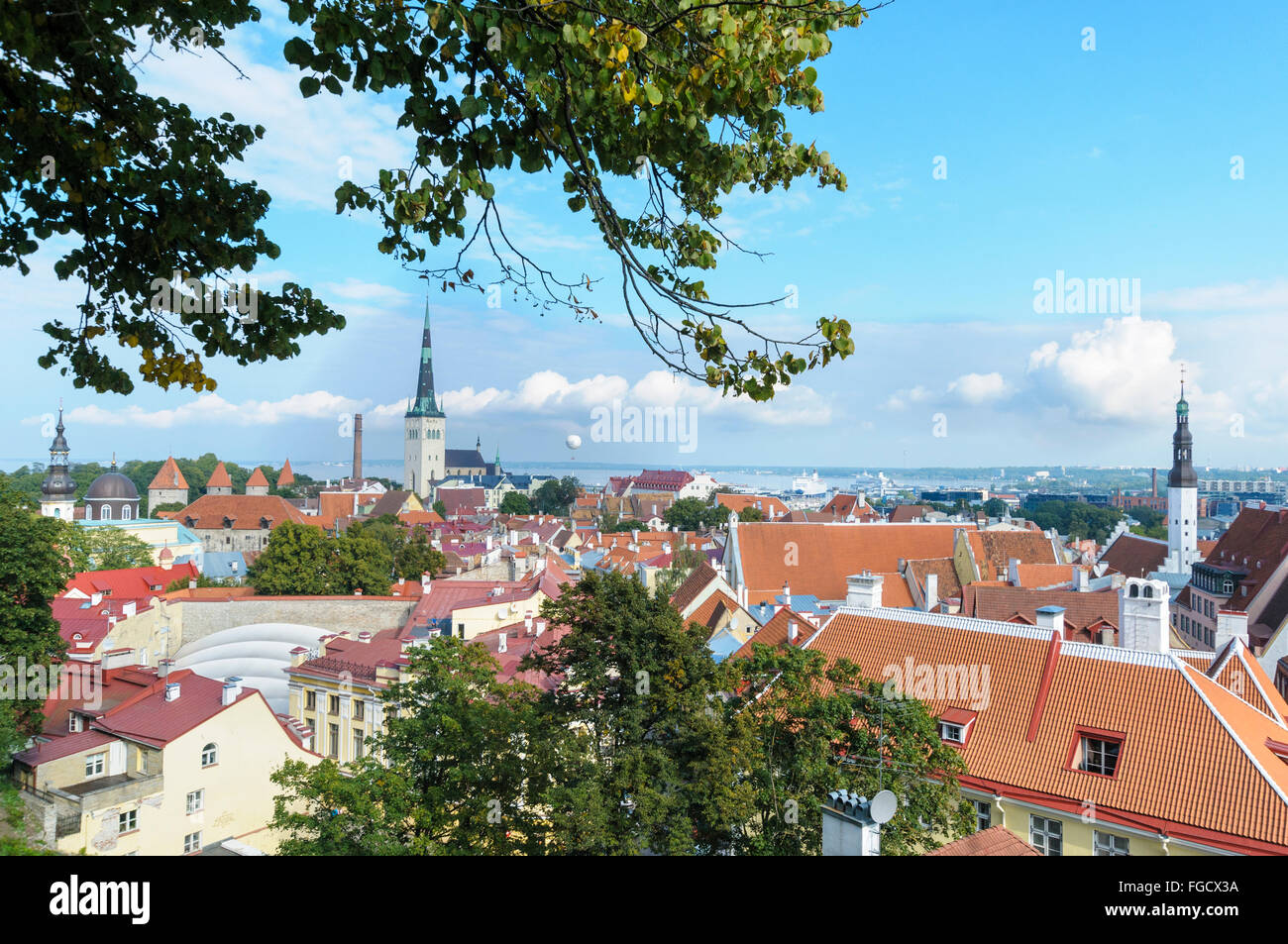 Blick auf St. Olavs Kirche und die Altstadt von Tallinn, Estland Stockfoto