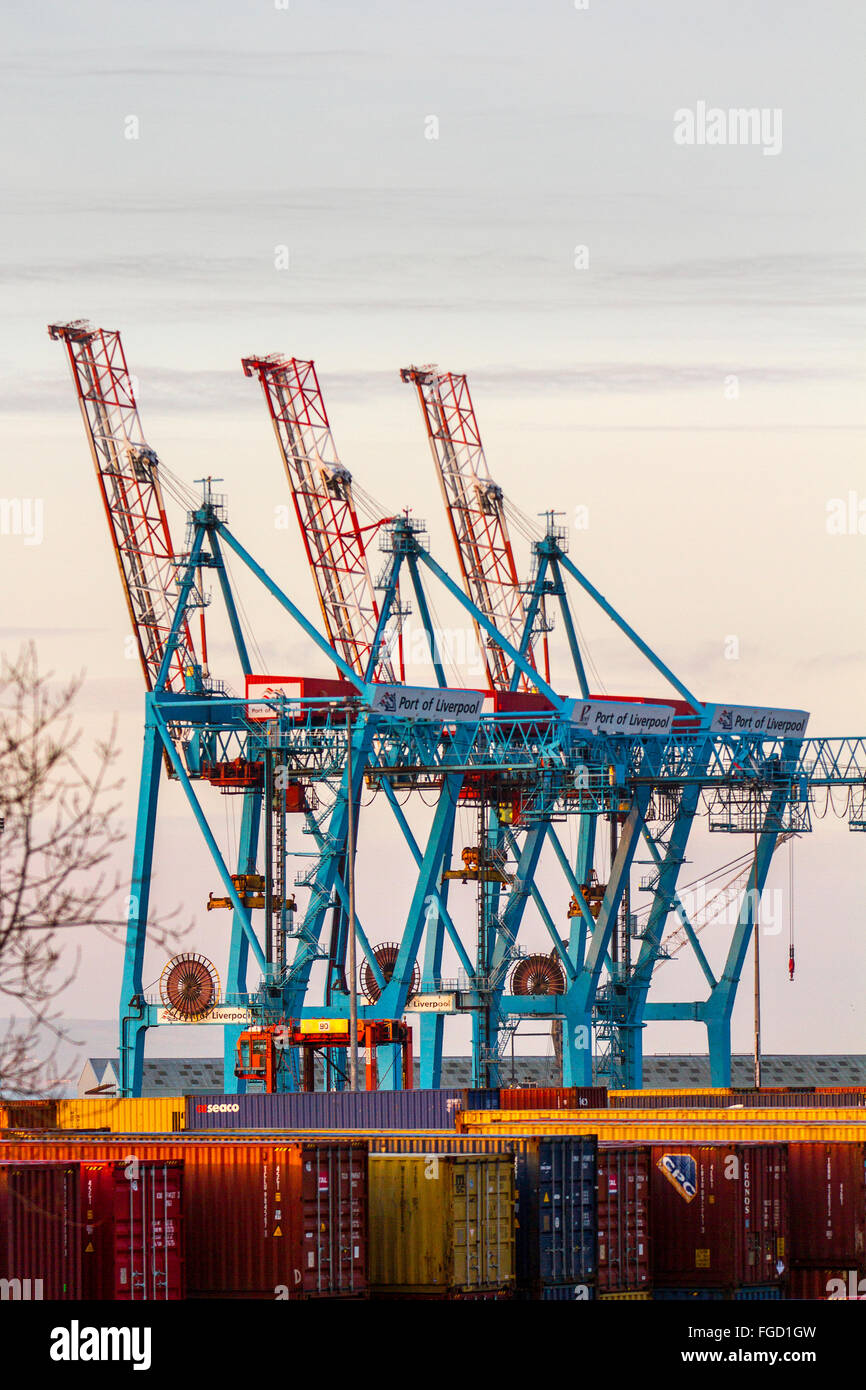 Liverpool, Merseyside, England. 19. Februar 2016. Peel Ports £300m tiefem Wasser Containerterminals, die jetzt die größten Containerschiffe der Welt, und verarbeiten kann wenn voll funktionsfähig Liverpool2 am Seaforth dock werden 95 % der größten Frachtschiffe der Welt verarbeiten können. Wenn Großbritannien stimmen die EU verlassen, muss sie eine neuen Handelsbeziehung mit was jetzt eine Organisation mit 27 Mitgliedern wäre zu verhandeln. Die EU ist für um 50pc der UK Warenexporte und 35pc seiner Exporte von Dienstleistungen oder um 12pc, 13pc des BIP verantwortlich. Bildnachweis: MarPhotographics/Alamy Live-Nachrichten Stockfoto