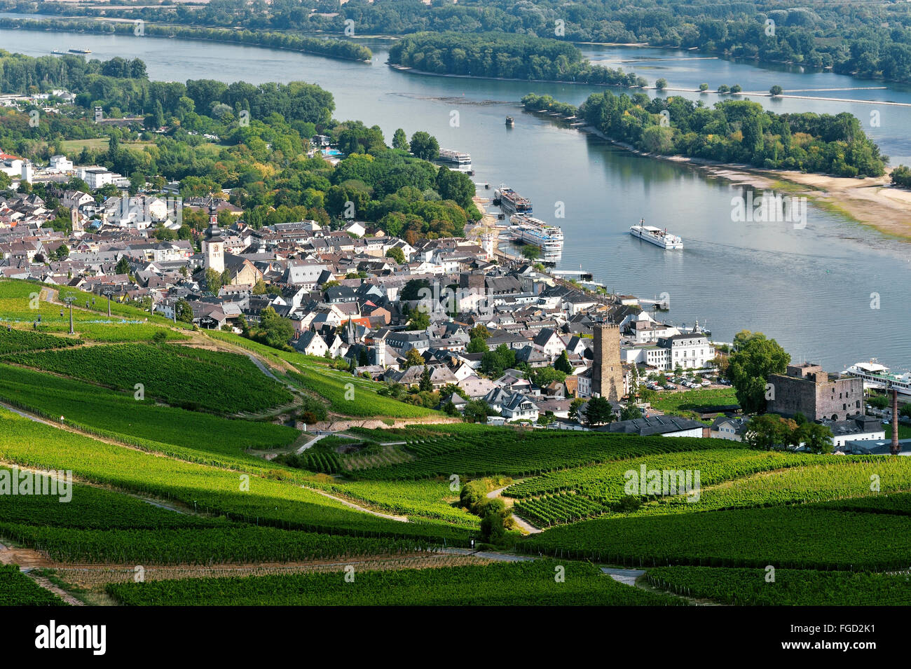 Rüdesheim am Rhein und Weinberge, Oberes Mittelrheintal, Deutschland ...