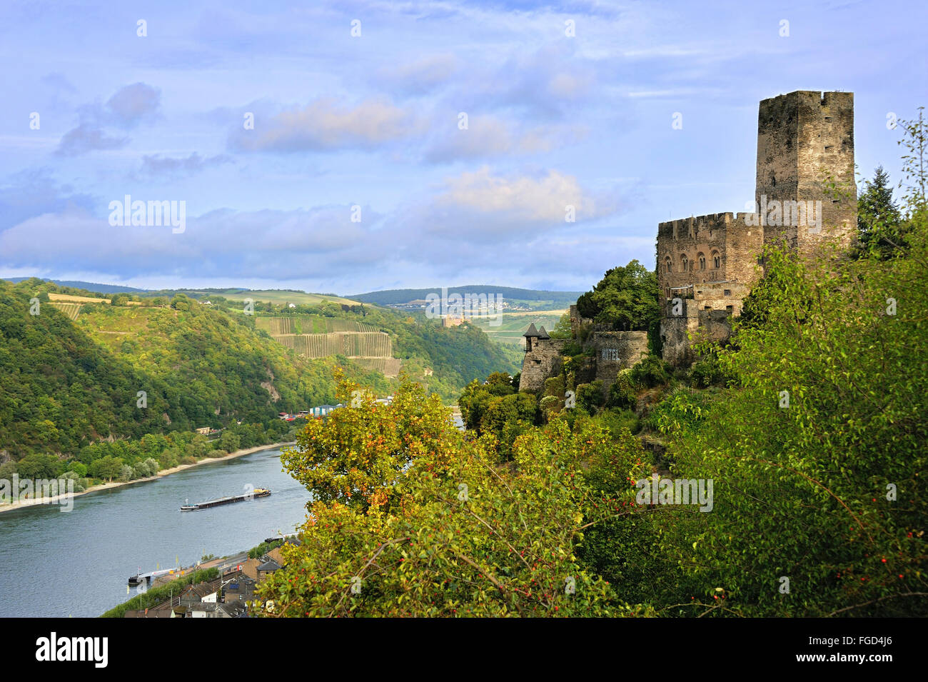 Die Burg Gutenfels, auch Caub Burg, über den Rhein und die Stadt Kaub, Oberes Mittelrheintal, Deutschland Stockfoto