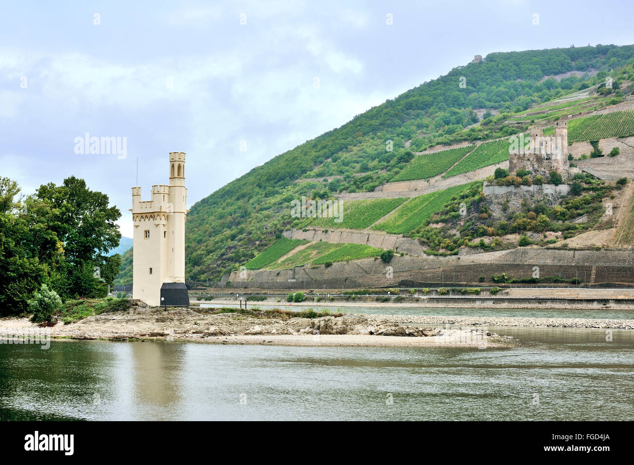 Mäuseturm mit Burg Ehrenfels im Hintergrund, Stadt Bingen, Oberes Mittelrheintal, Deutschland Stockfoto