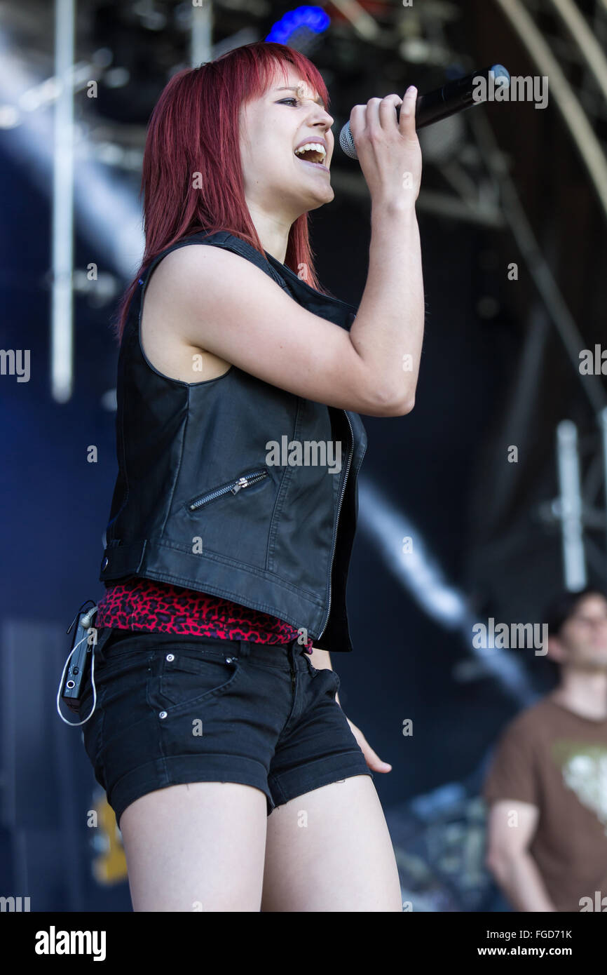 Miss Rabbit Stockfoto