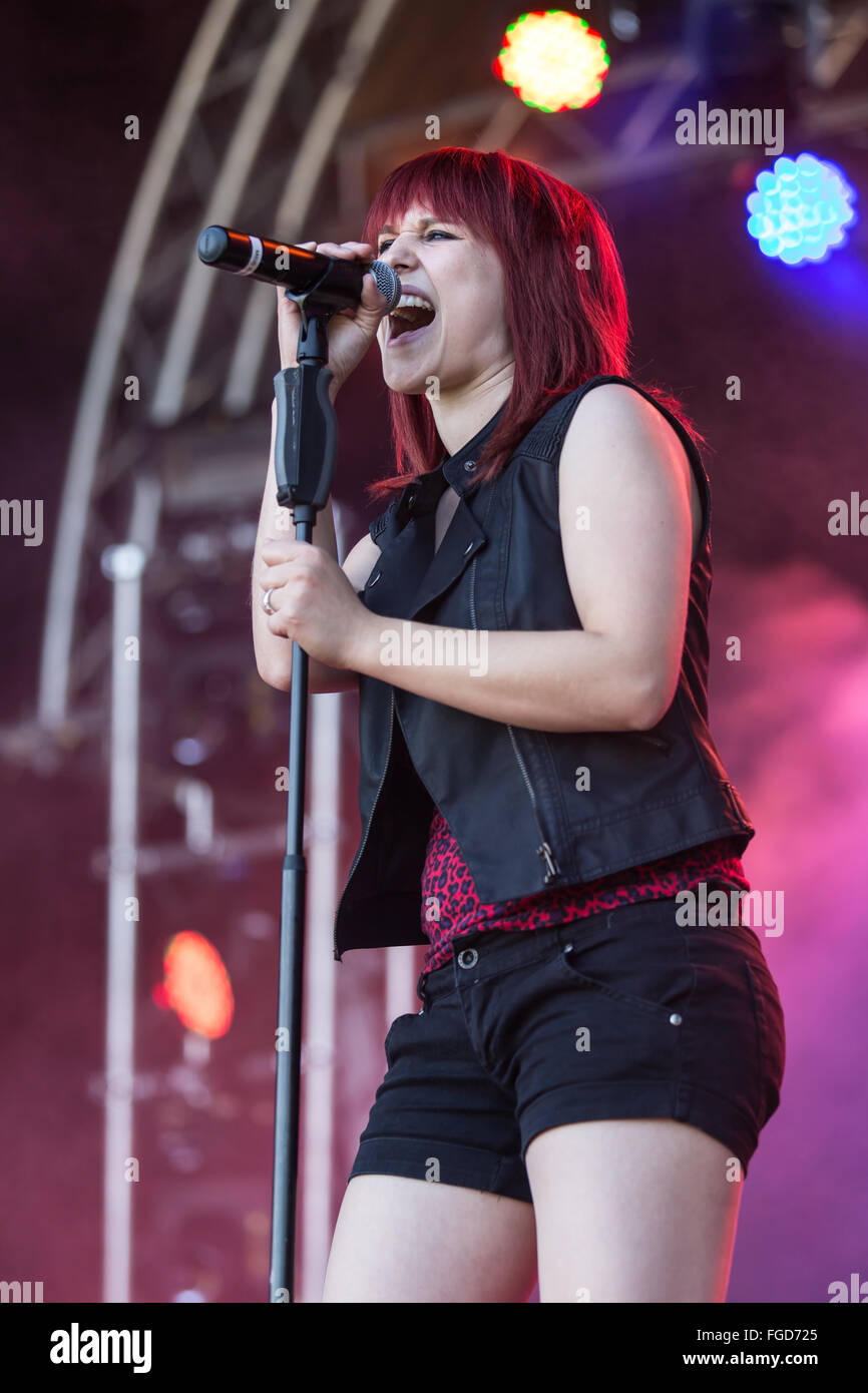 Miss Rabbit Stockfoto