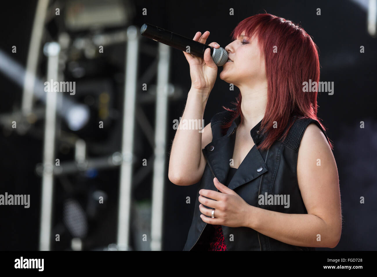 Miss Rabbit Stockfoto