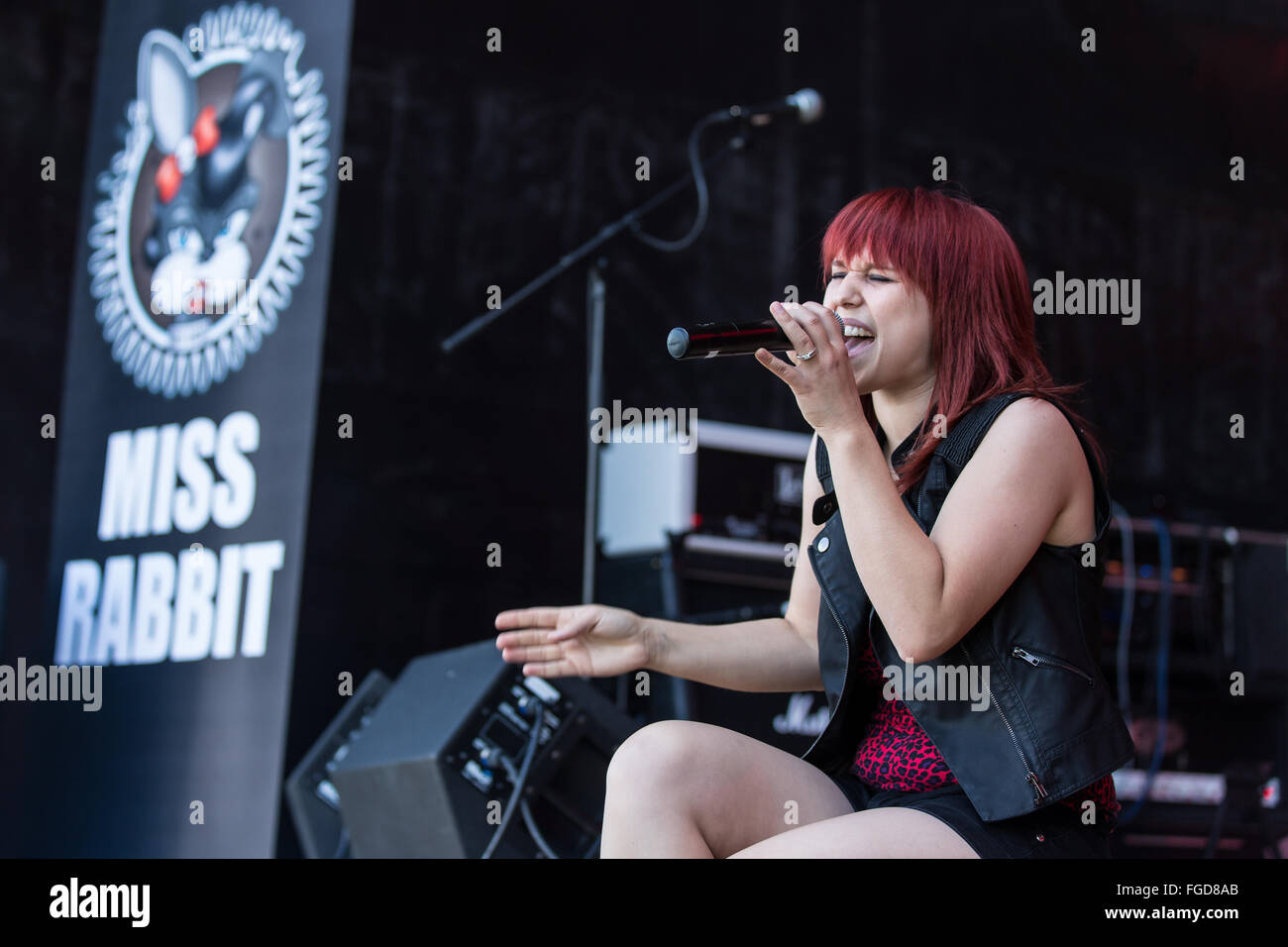 Miss Rabbit Stockfoto