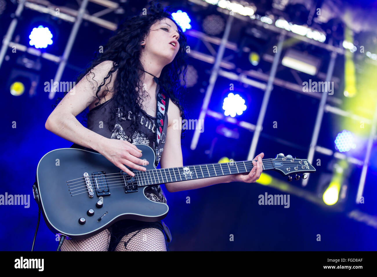 Miss Rabbit Stockfoto