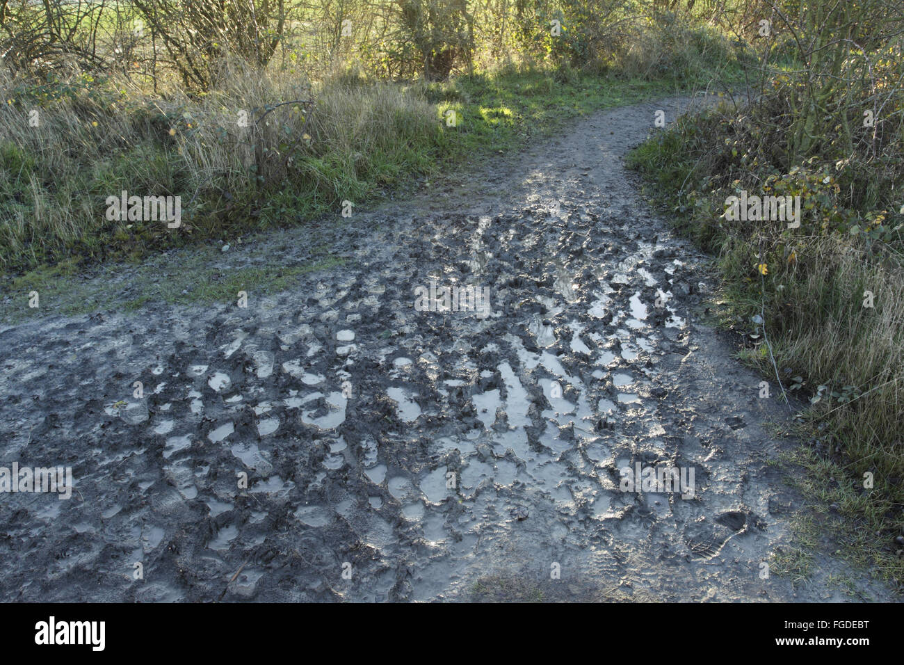 Schlammige Fußabdrücke auf nassen Fußweg nach hohen Niederschläge, Letchmire Weiden Nature Reserve, Allerton Bywater, West Yorkshire, England, Dezember Stockfoto