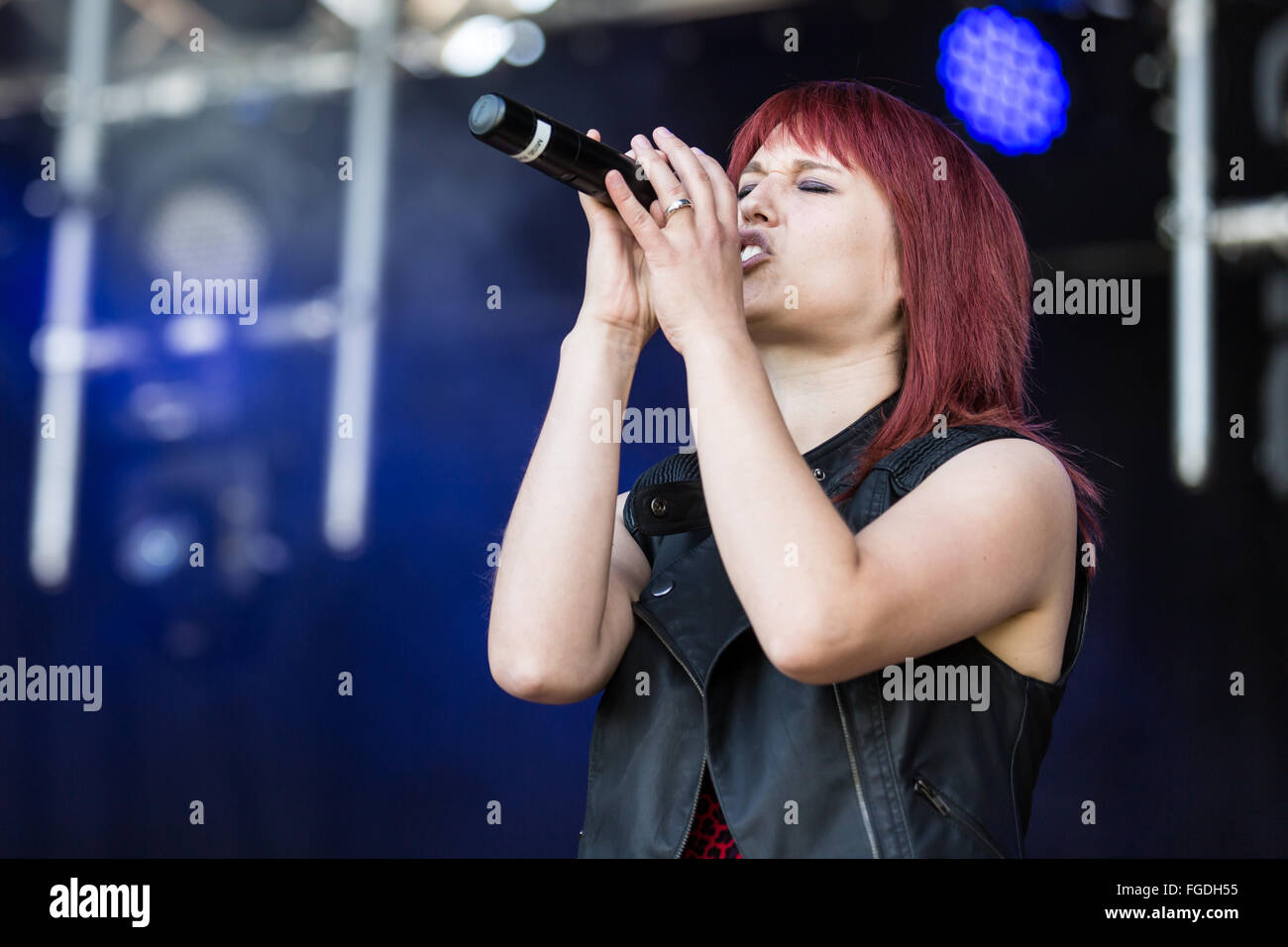 Miss Rabbit Stockfoto