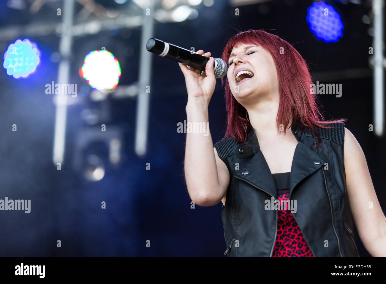 Miss Rabbit Stockfoto