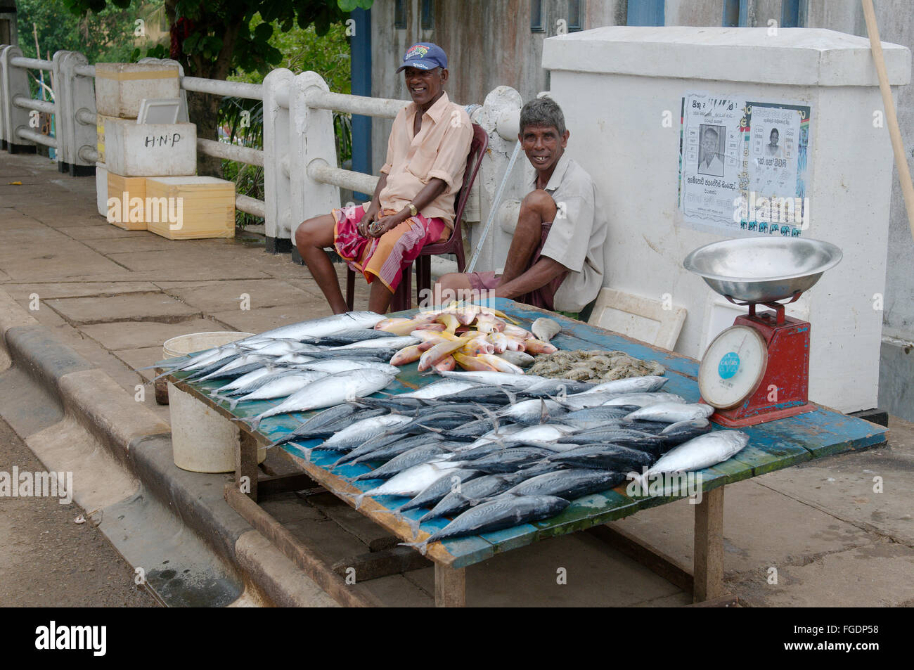 Zwei ältere Fischer verkaufen ihren Fang, Hikkaduwa, Sri Lanka, Südasien Stockfoto