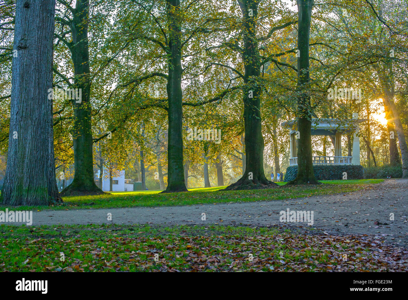 Settting Sonne in einem Herbst-park Stockfoto