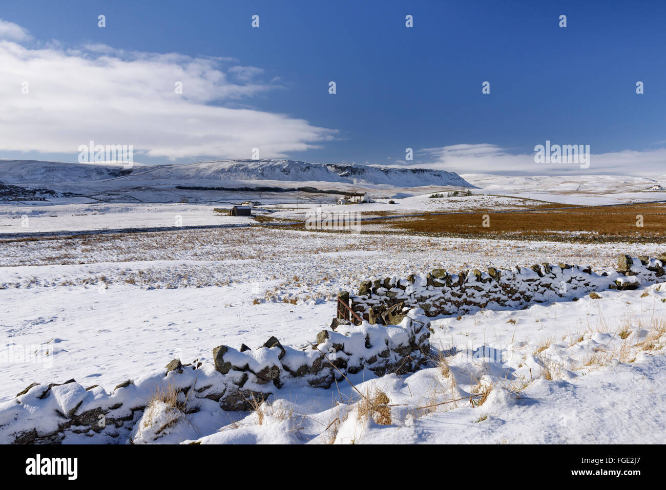 Oberen Teesdale im Winter Stockfoto