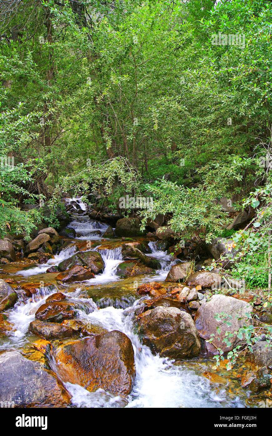 Schnelle Gebirgsbach fließt das Geräusch das Wasser sauber kalten felsigen Flussbett Felsbrocken rutschige Steine Stockfoto