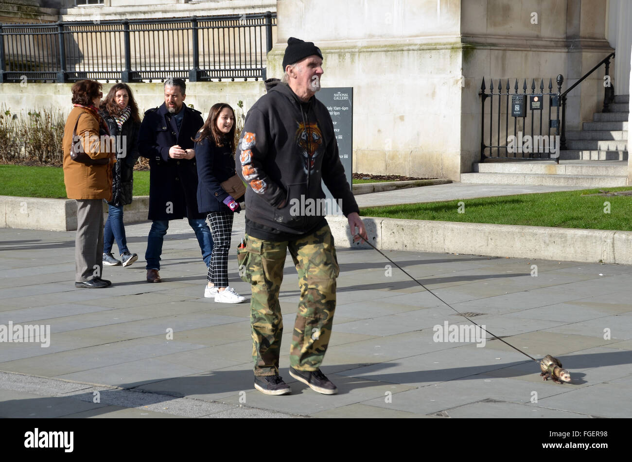 London, UK, 18. Februar 2016, geht ein Mann ein Haustier Frettchen an der Leine vor der National Gallery am Trafalgar Square. Stockfoto