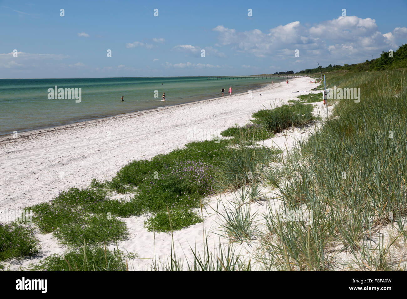 Sandigen Strand und Dünen, Skanör Falsterbo, Falsterbo Halbinsel, Skåne (Scania), Südschweden, Schweden, Skandinavien, Europa Stockfoto