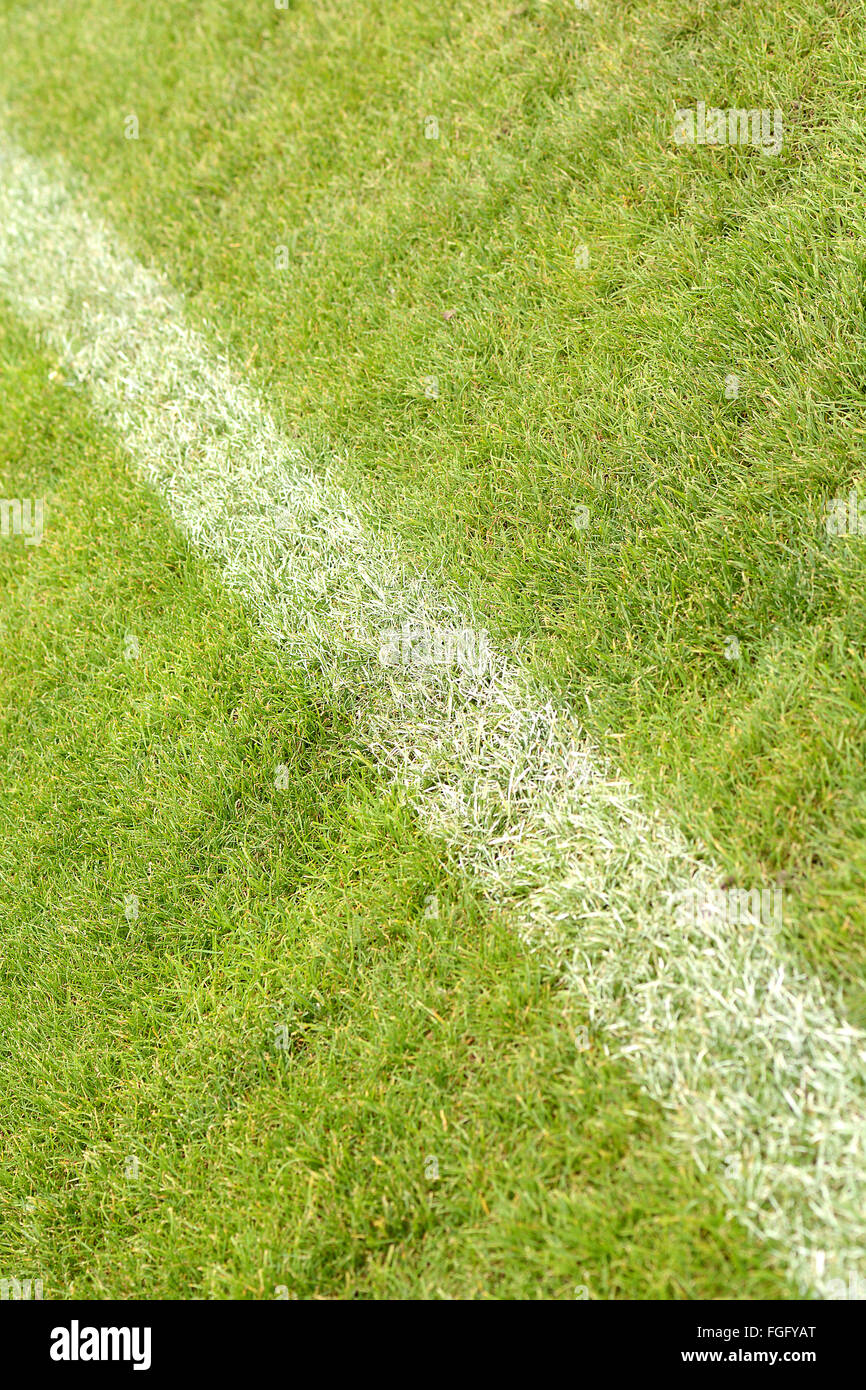 Weiße Streifen auf dem grünen Fußballplatz aus Draufsicht Stockfoto