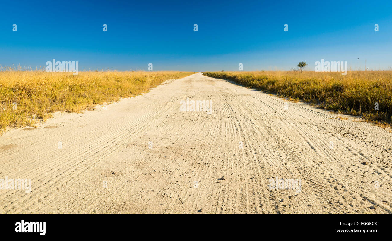 Endlose Schotterstraße durch die Ebenen von Botswana, Afrika im Makgadikgadi Pan Stockfoto