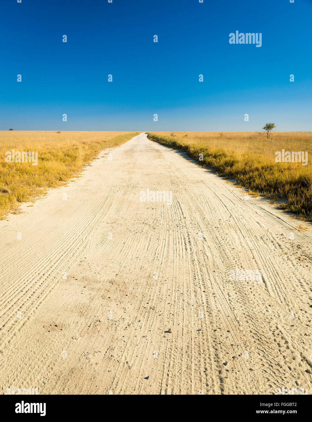 Endlose Schotterstraße durch die Ebenen von Botswana, Afrika im Makgadikgadi Pan Stockfoto