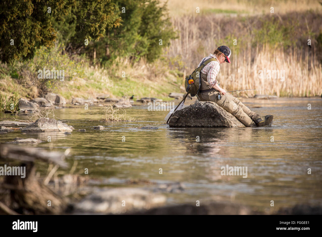 Eine Frau fliegen Fische vom Ufer auf der Madison River in Montana. Stockfoto