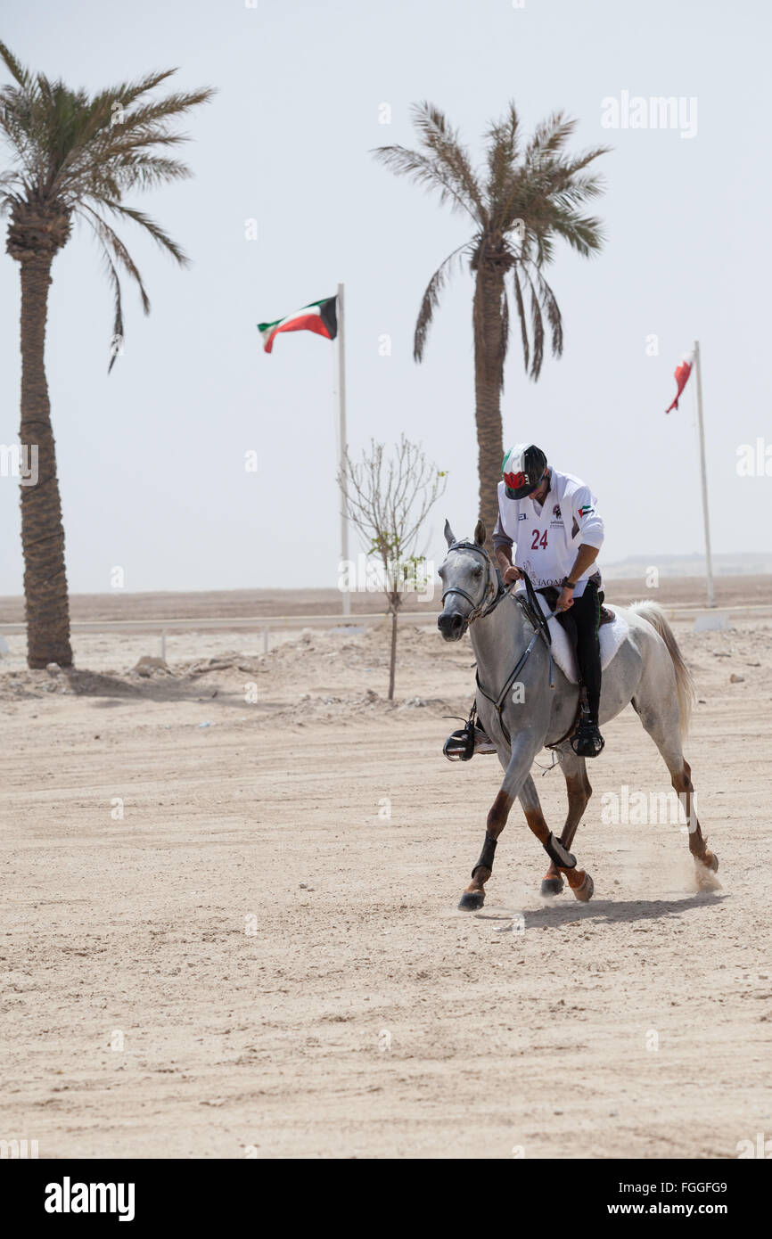 Erschöpften Fahrer prüft seine Zeit am Ende einer Etappe der Langstreckenrennen am CHI Al Shaqab 2014 Stockfoto